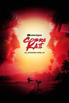 Cobra Kai – Netflix Original (2019) Season 2 Dual Audio {Hindi-English} 480p [100MB] | 720p [250MB] WEB-DL