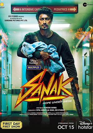 Sanak (2021) WEB-DL Hindi Full Movie 480p [400MB] | 720p [1GB] | 1080p [2.8GB] | 2160p [16GB]