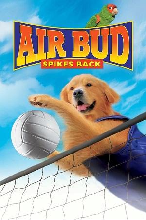 Air Bud – Spikes Back (2003) WEB-DL Dual Audio {Hindi-English} 480p [290MB] | 720p [790MB] | 1080p [1.8GB]