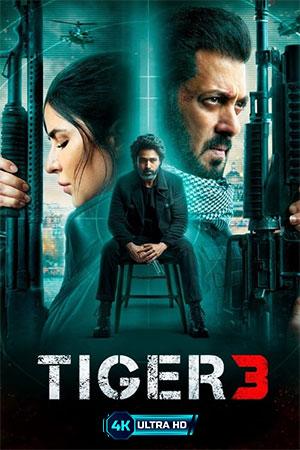 Tiger 3 (2023) Hindi AMZN WEB-DL 480p [500MB] | 720p [1.3GB] | 1080p [2.5GB] | 2160p 4K UHD [17GB]