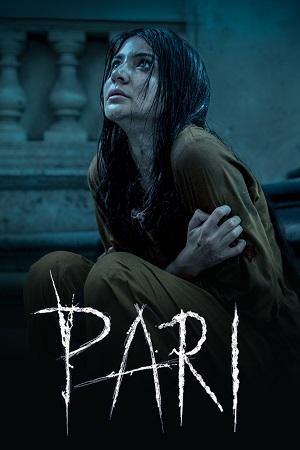 Pari (2018) Hindi Full Movie WEB-DL 480p [400MB] | 720p [900MB] | 1080p [4GB]