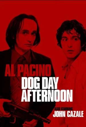 Dog Day Afternoon (1975) Dual Audio [Hindi ORG + English] BluRay 480p [500MB] | 720p [1GB] | 1080p [2.4GB]