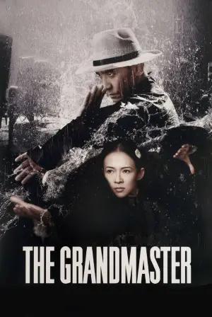 The Grandmaster (2013) BluRay Dual Audio [Hindi ORG. + English] 480p [360MB] | 720p [1GB] | 1080p [4.1GB]