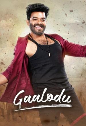 Gaalodu (2022) WEB-DL Dual Audio [Hindi ORG. + Telugu] Full Movie 480p [400MB] | 720p [1.2GB] | 1080p [2.5GB]